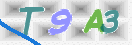 CAPTCHA 이미지
