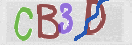 CAPTCHA 이미지