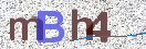 CAPTCHA 이미지
