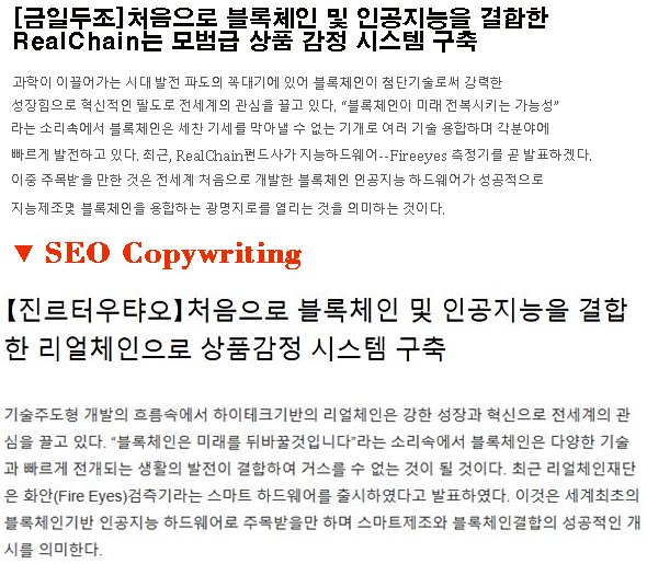 SEO Copywriting Case