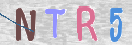 CAPTCHA 이미지