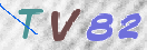 CAPTCHA 이미지