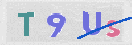 CAPTCHA 이미지